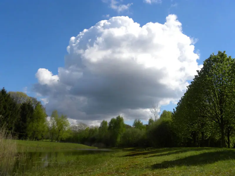 Abfijvijver Onze Lieve Vrouwe Abdij Oosterhout