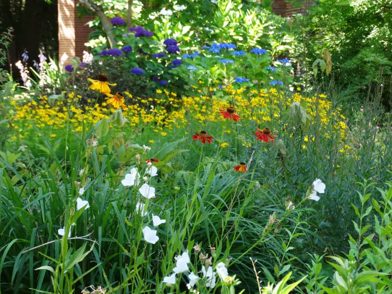 Bloemen in de Bloementuin van de Onze Lieve Vrouwe Abdij Oosterhout